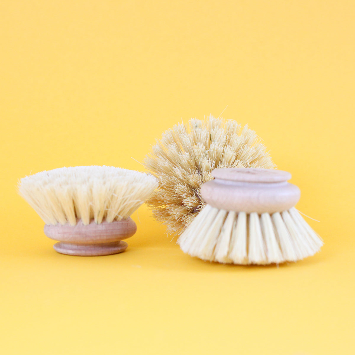 No Tox Life Tampico Dish Brush Replacement